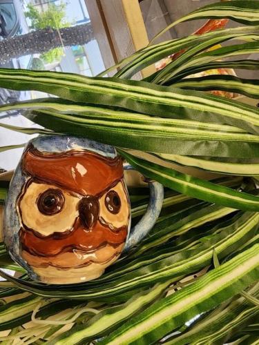 Colourtime-Owl-Mug-inside-plant